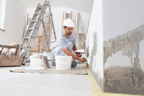 Best Basement Mold Removal  in Winfield, TN
