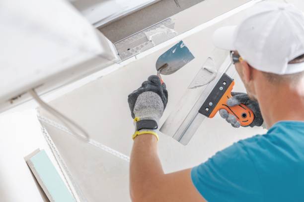 Best Mold Documentation for Insurance Claims  in Winfield, TN